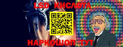 винт Новозыбков