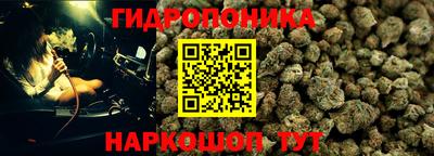 винт Новозыбков