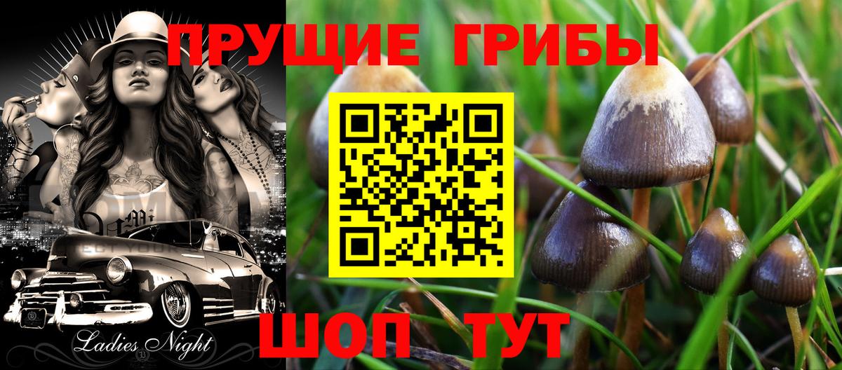 Дальнереченск  Псилоцибиновые грибы GOLDEN TEACHER  Вход с VPN 